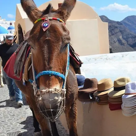 Apartman Pleasure View Perísza