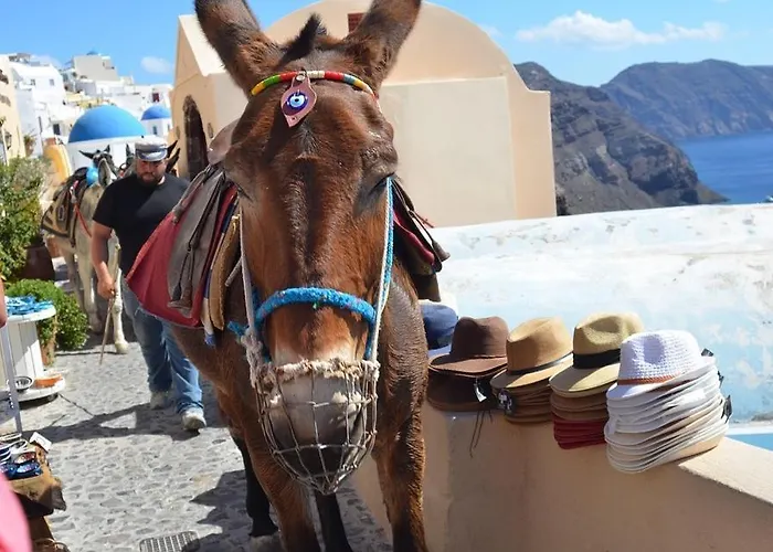 アパート Pleasure View ペリッサ